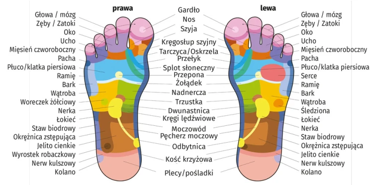 refleksologia_mapa_stop.jpg