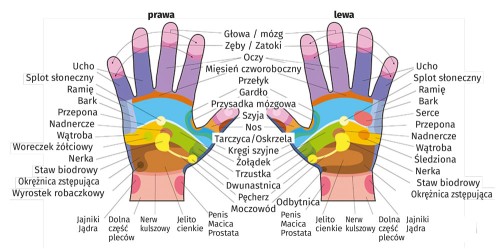 Refleksologia_mapa_dloni.jpg